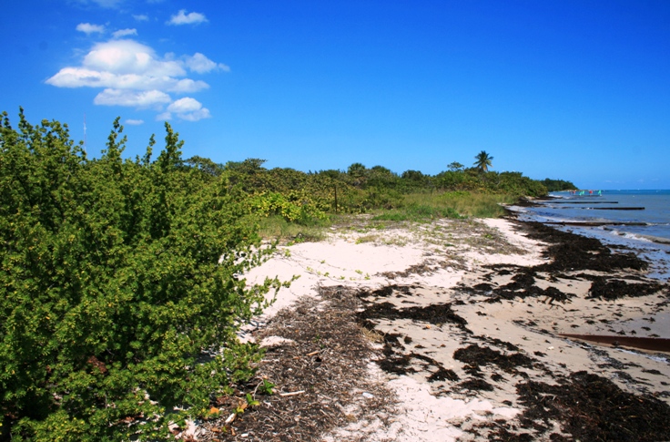 Natural Seashore - Virginia Key Beach Park - © 2015 JiMmY RocKeR PhoToGRaPhY